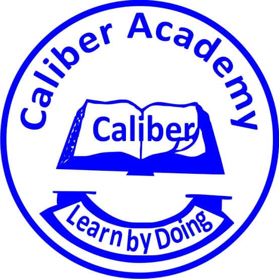 Calliber Academy Sr Sec School Chittorgarh